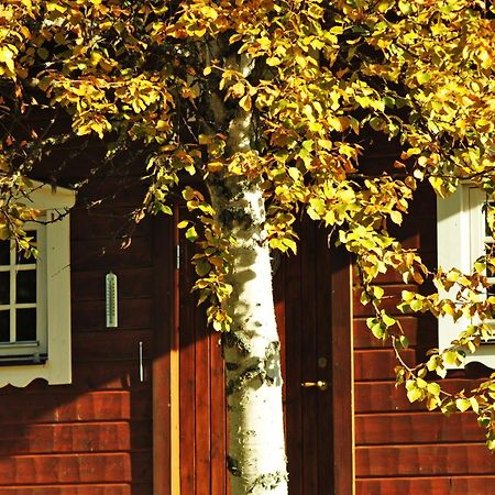 Cottage On Wild River In Lapland/Sweden Karlsten 외부 사진