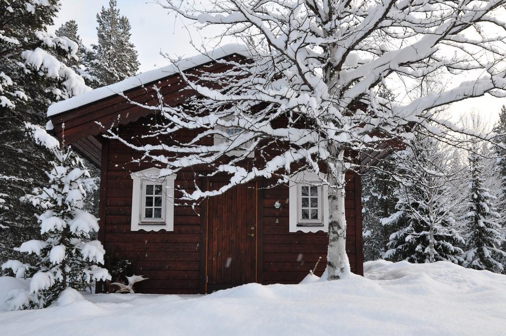 Cottage On Wild River In Lapland/Sweden Karlsten 객실 사진